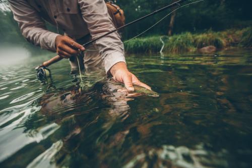 A person leans down with a fishing pole in one hand and a fish under the water in the other hand.