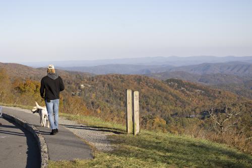 A man walks with a yellow labrador in front of him. Behind them, the blue ridge mountains can be seen in rolling layers.