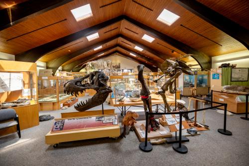 Tate Geological Museum in Casper features many dinosaur fossils for public viewing.