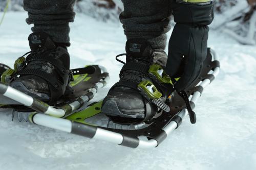 snow shoes