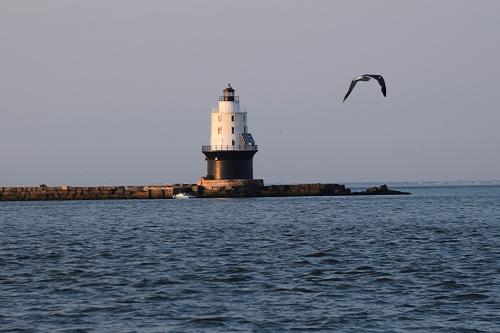 Cape Water Tours and Taxi