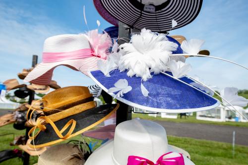 Point to Point at Winterthur Museum