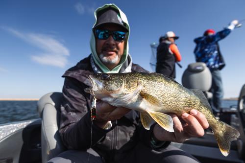 A man holding a walleye on a boat in Devils Lake, ND