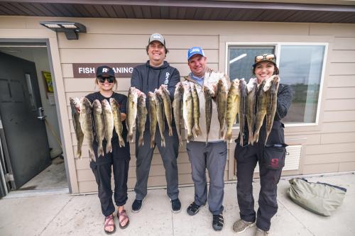 A group of two women and two men holding their limit of walleye on Devils Lake, ND at the public fish cleaning station.