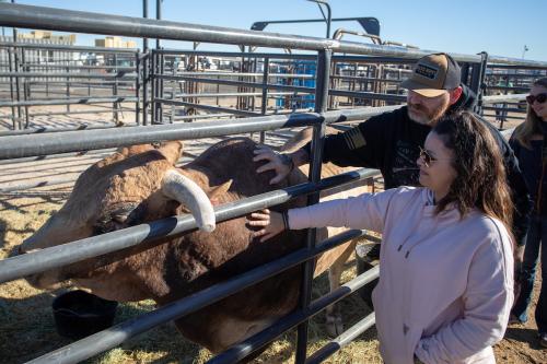 Bull Housing Tours