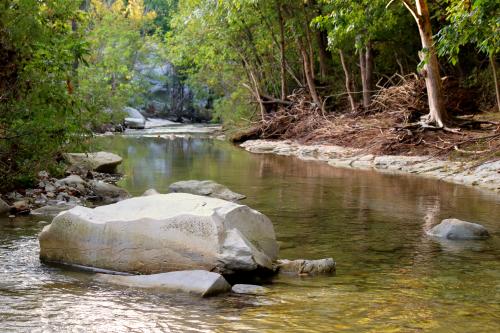 Best Parks in Frisco, Texas