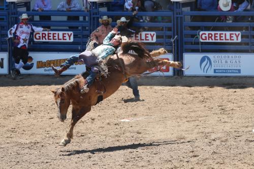 Greeley Stampede Event