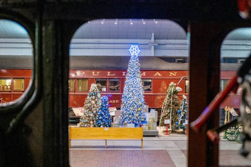 Festival of Trees