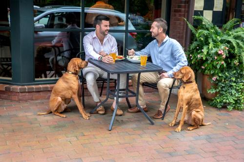 Pet Friendly Dining