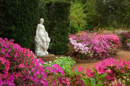 River Oaks Azalea Trail