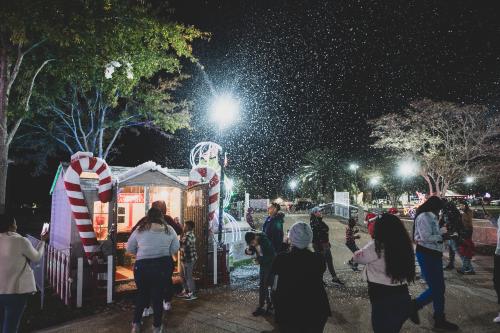 Christmas at Lafreniere Park 3