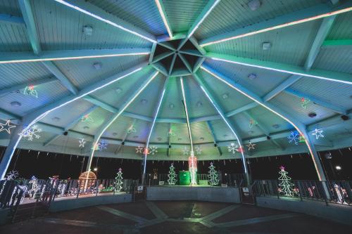 Christmas at Lafreniere Park 5