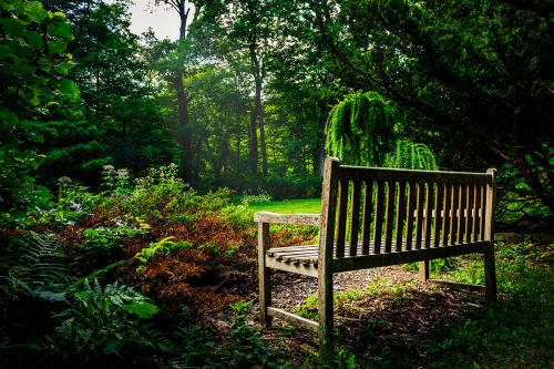 Hawthorn Hollow Nature Sanctuary and Arboretum