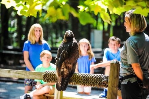 Private Raptor Encounter CRC