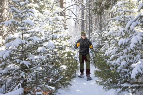 Man snowshoeing between snowy trees in Wyoming's Snowy Range