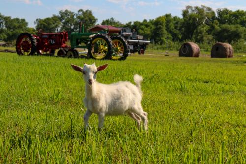 a & H farm