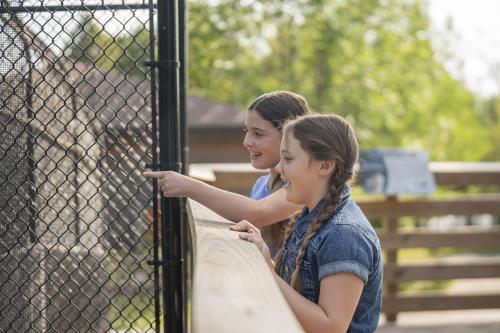 Two Girls Looking at Animals at Zoo