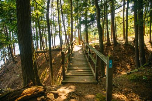 A section of the North Country Trail through the woods along Lake Superior