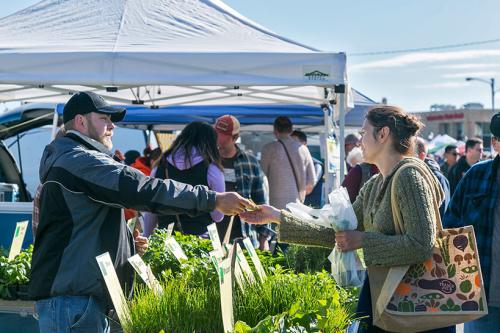 Waukesha Farmers Market