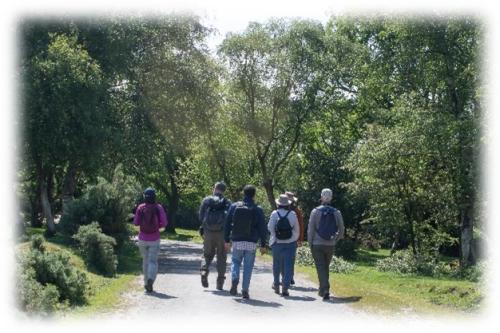 Wild New Forest Blog - Picture 1