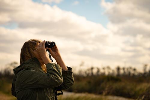 birders in mashoes alligator river wildlife refuge