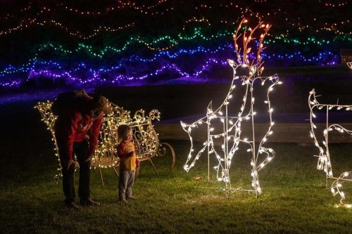 Luminary Walk