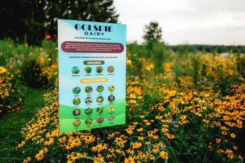 Pollinator garden golspie