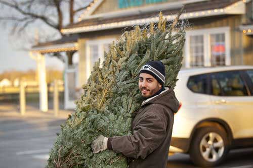 a person carrying Christmas Tree wrapped