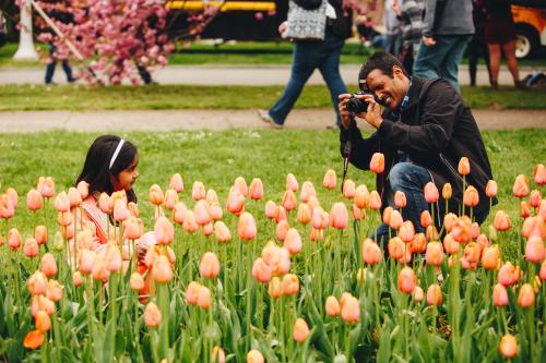 Lilac Festival 2018