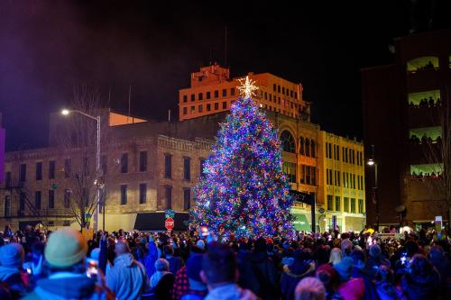 Tree Lighting