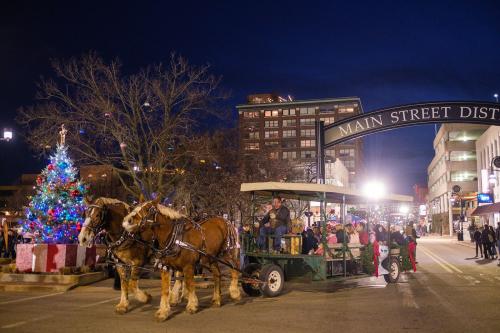 Horse & Wagon