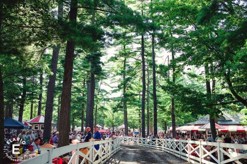 Path and trees through Saratoga Race Course