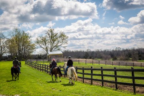 Horseback riding