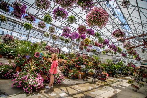 Gallrein Farms Greenhouse