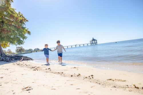 Sandy beach in Fontainebleau State Park