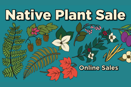 Native plant sale