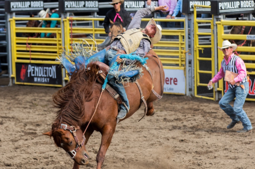 puyallup rodeo