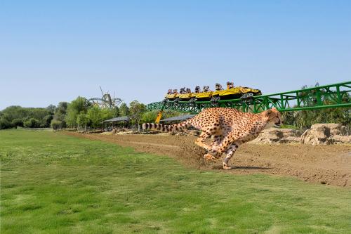 Go and You’ll Know