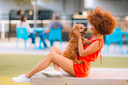 Visit Tampa Bay Launches “Doggone Summer”