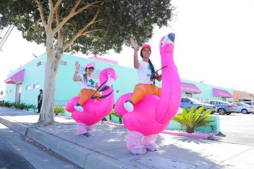 Tropicanna Flamingo Gals