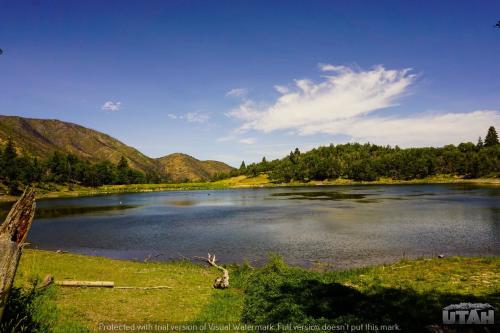 Maple Lake- Utah Rec