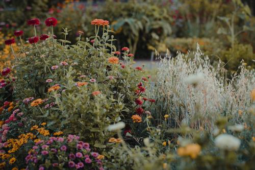Flowers Fort