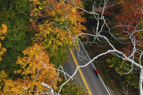 A fall day on the Burlington Bike Path