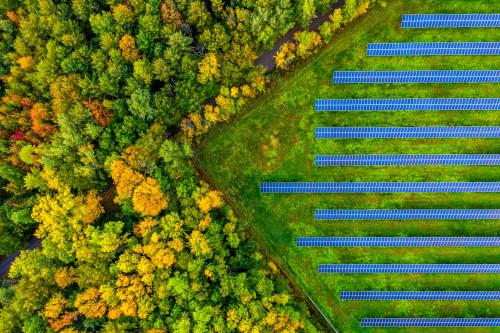 Solar Fields next to a forest of fall foliage