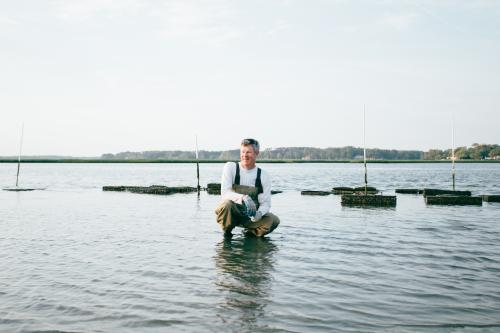 Virginia Beach Pleasure House Oysters