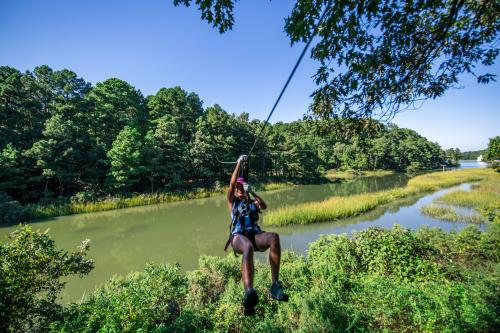 The Adventure Park at Virginia Aquarium