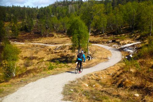 syklist på grusvei i skogen