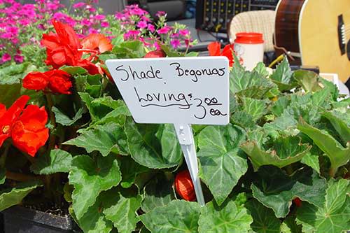 Farmers Markets