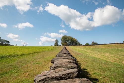 Brandywine Creek State Park