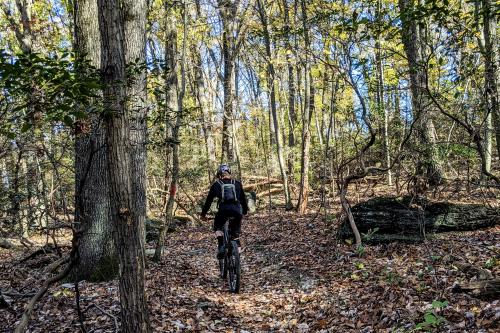 Person riding mountain bike through the forest in the fall